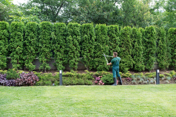 Artificial Turf Installation in Point Roberts, WA